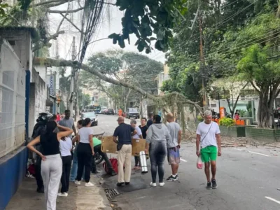 Árvore caída na Rua do Bispo, no Rio Comprido, após atingir motociclista