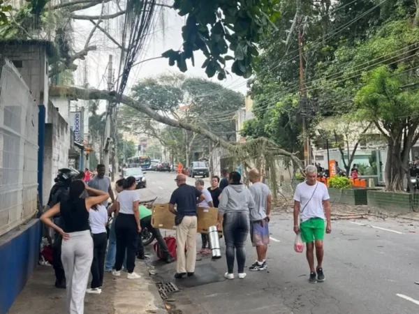 Árvore caída na Rua do Bispo, no Rio Comprido, após atingir motociclista