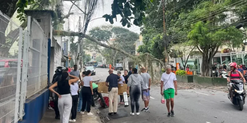 Árvore caída na Rua do Bispo, no Rio Comprido, após atingir motociclista