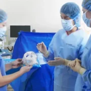 Profissional de saúde analisa modelo anatômico produzido por impressão 3D em hospital