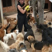 Dois voluntários cuidam das unhas de um cachorro em abrigo de animais, durante atividade de assistência e proteção animal.