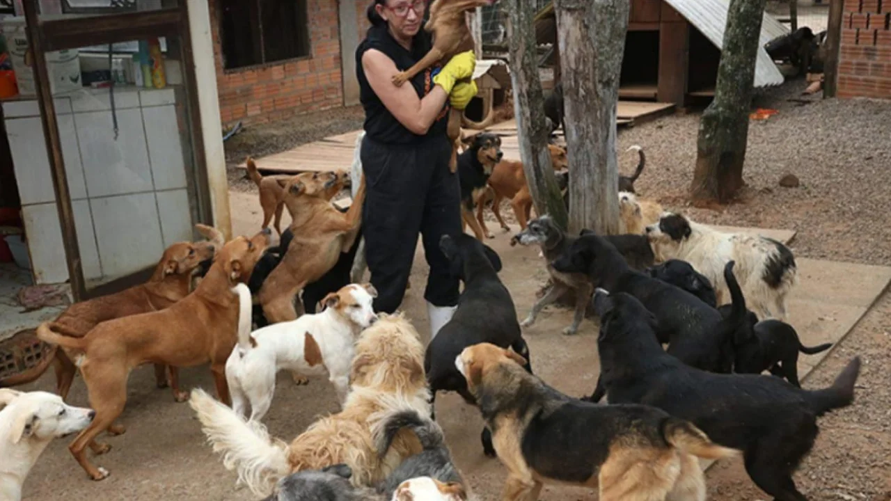 Dois voluntários cuidam das unhas de um cachorro em abrigo de animais, durante atividade de assistência e proteção animal.