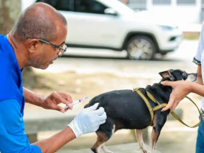 Cão recebe vacina antirrábica durante campanha de imunização